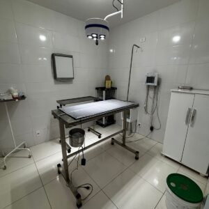 1ab9a334-8249-45e6-88b6-724530f7be15